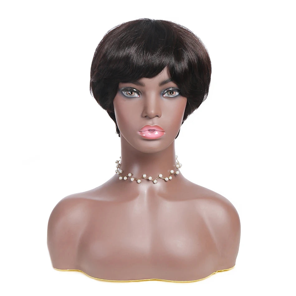Bone Straight Human Hair Colored Brown Wigs Glueless HD Lace Frontal Wigs Brazilian Human Hair Lace Front Wigs for Black Women